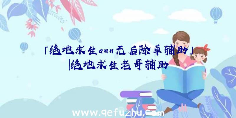 「绝地求生ann无后除草辅助」|绝地求生老哥辅助